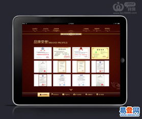 精湛的技术，优秀的服务 深圳软件开发公司的卓越之道