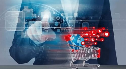 传统企业如何借力互联网平台实现转型——以西藏特产交易网为例